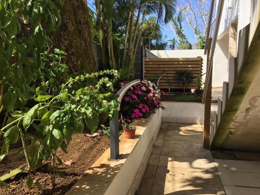 סן-אנדרה Nicole Residence Avec Piscine Chauffee & Jacuzzi מראה חיצוני תמונה
