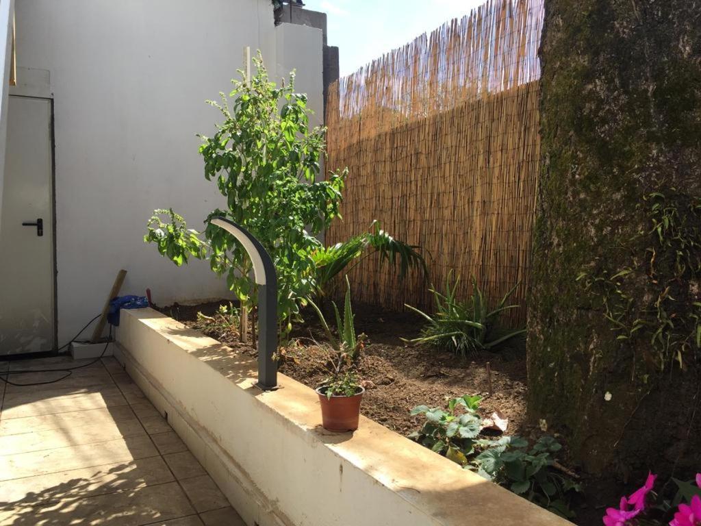 סן-אנדרה Nicole Residence Avec Piscine Chauffee & Jacuzzi מראה חיצוני תמונה