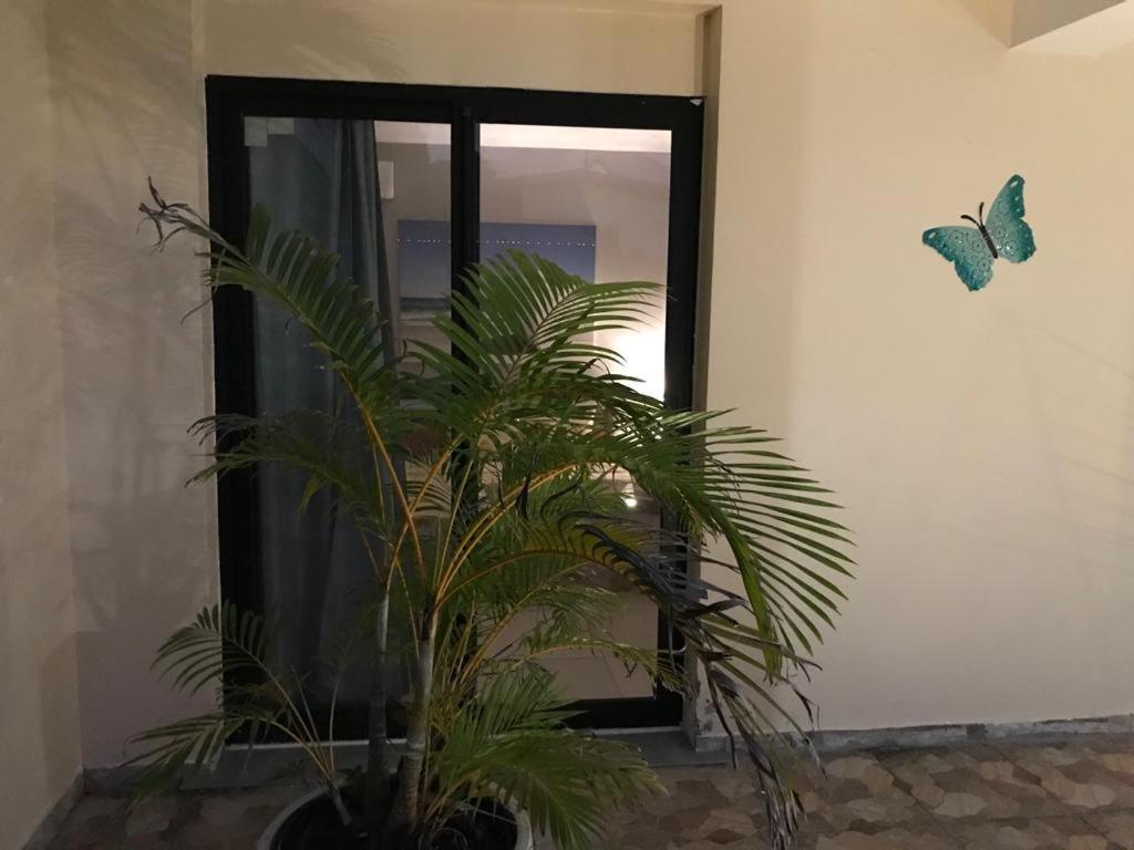סן-אנדרה Nicole Residence Avec Piscine Chauffee & Jacuzzi מראה חיצוני תמונה