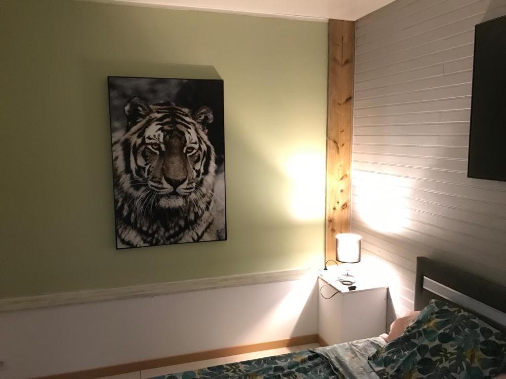 סן-אנדרה Nicole Residence Avec Piscine Chauffee & Jacuzzi מראה חיצוני תמונה
