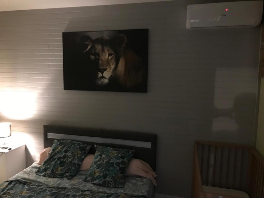 סן-אנדרה Nicole Residence Avec Piscine Chauffee & Jacuzzi מראה חיצוני תמונה